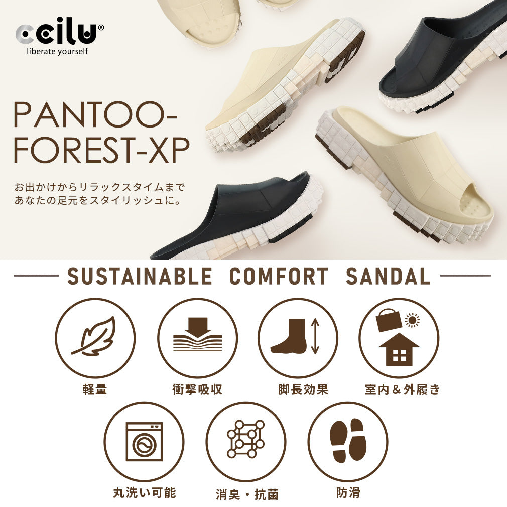 PANTOO FOREST XP