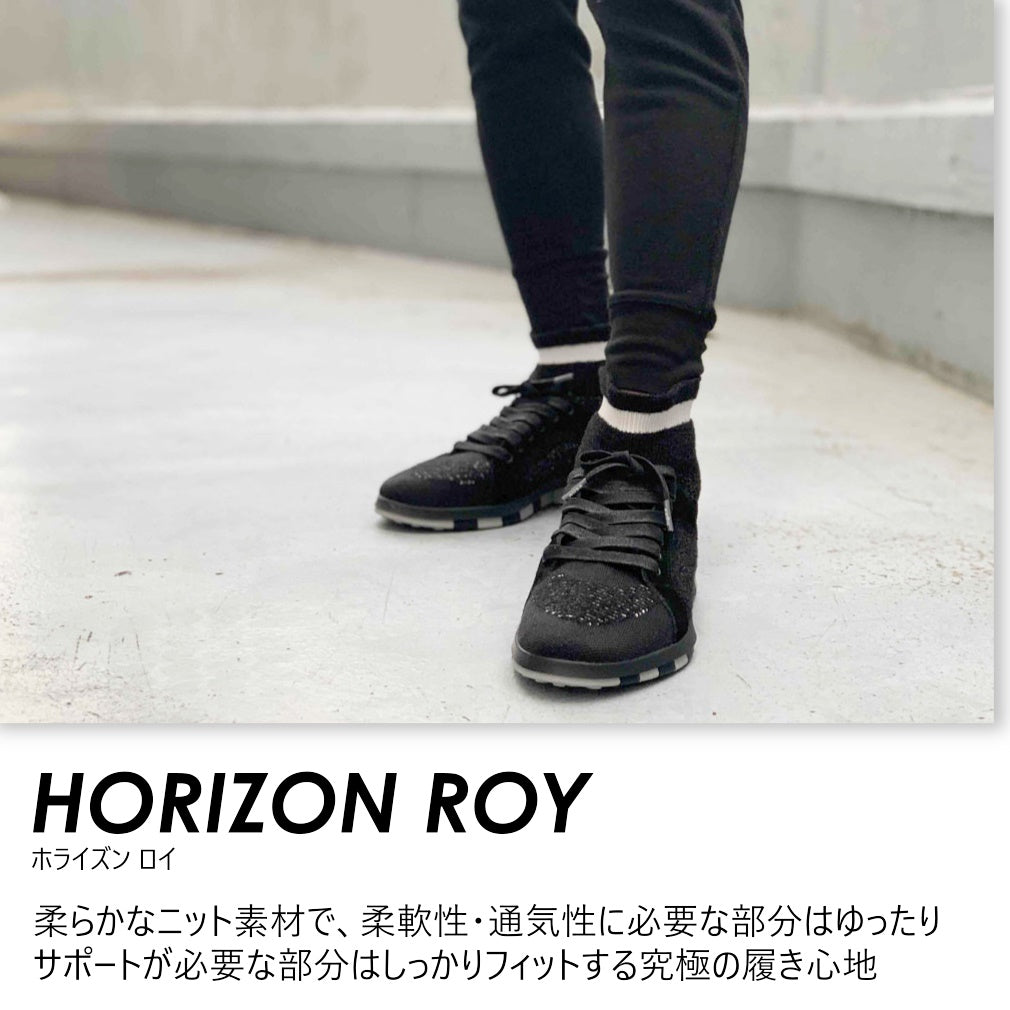 horizone-roy