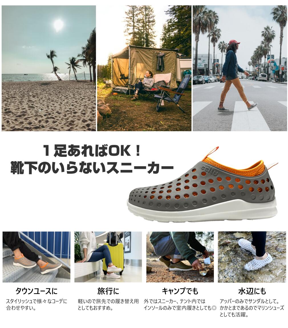【SAMPLE】intuition-jp
