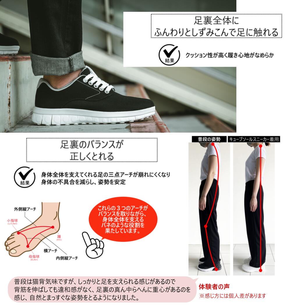 【SAMPLE】renee GREEN PLAX