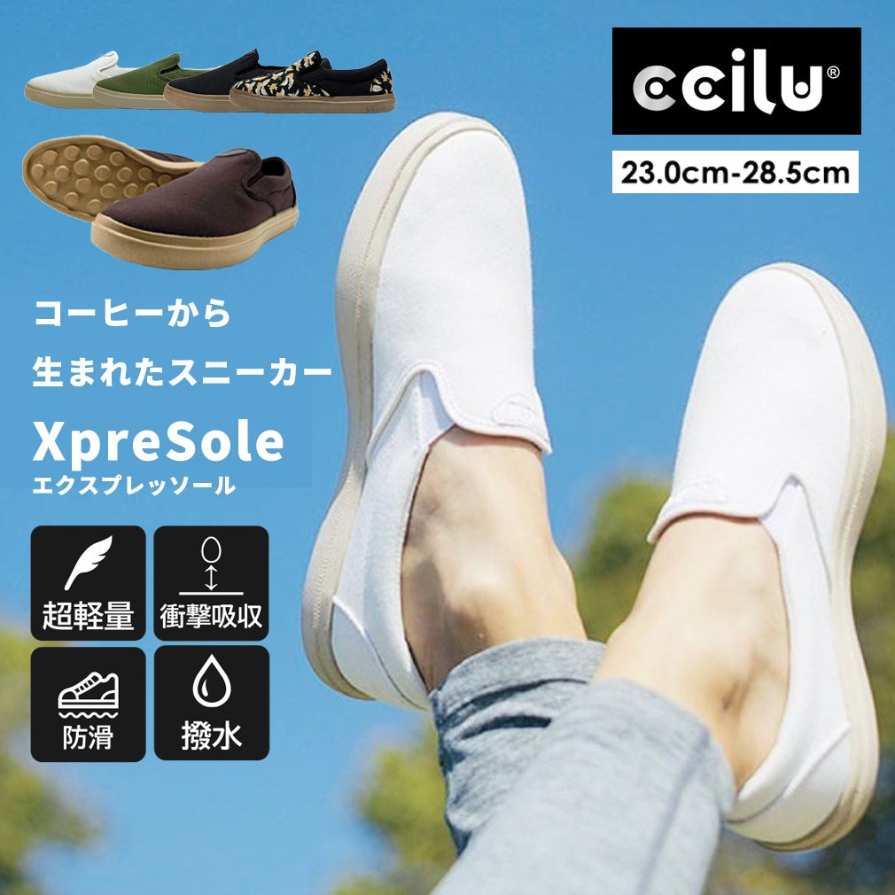 【SAMPLE】cody xpresole