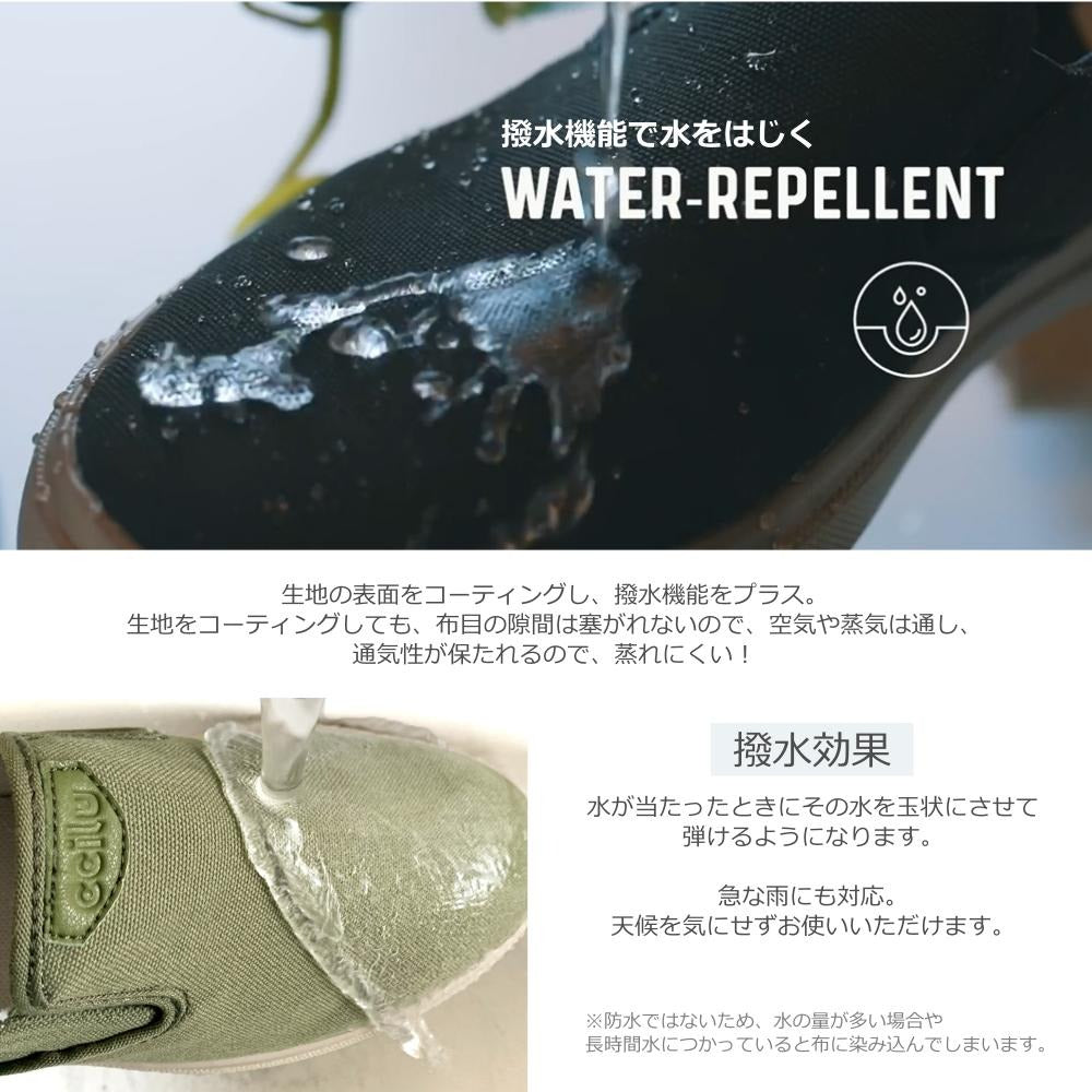 【SAMPLE】cody xpresole